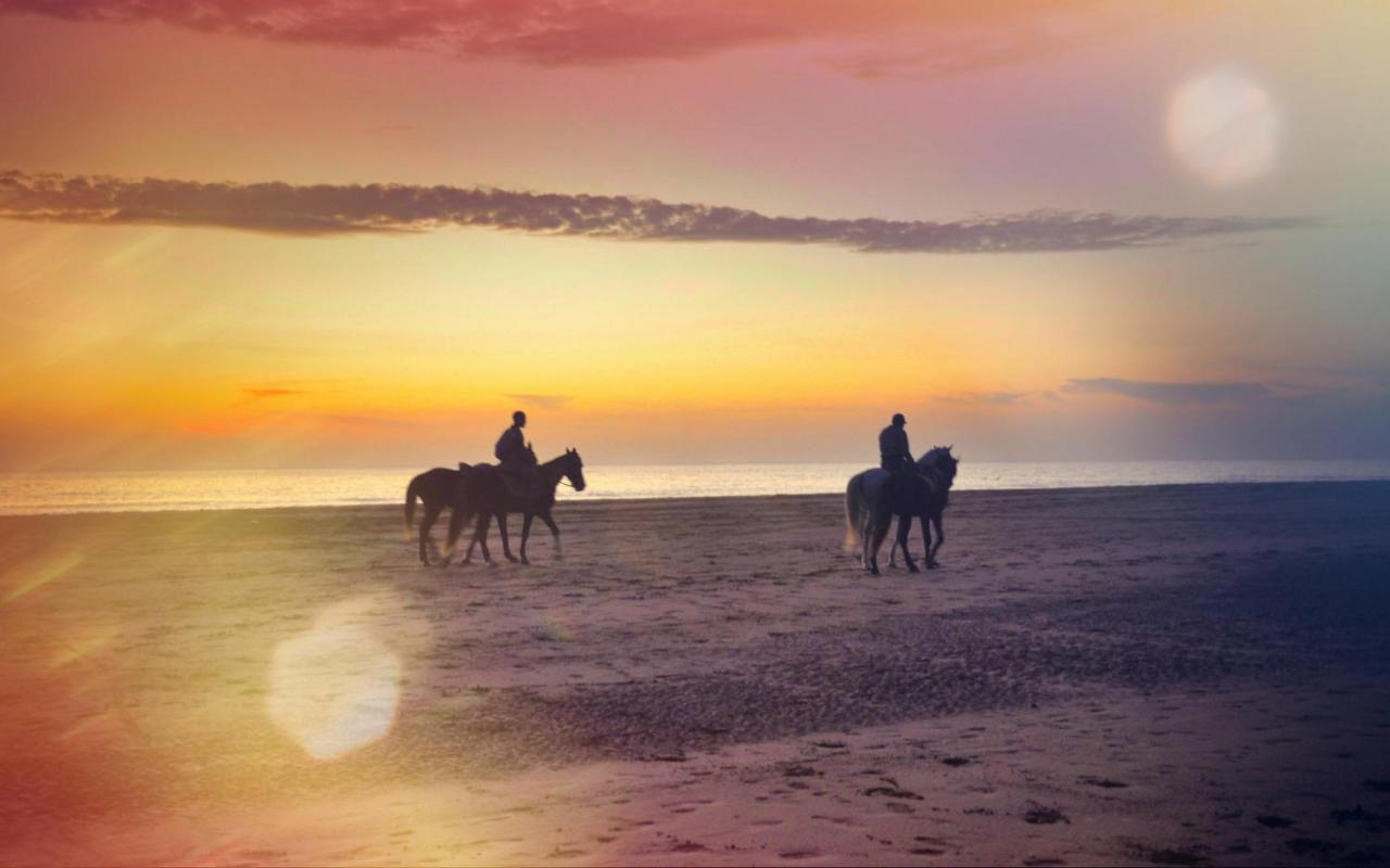 Blue Wave Lodge Agadir n'Ait Sa Exteriér fotografie